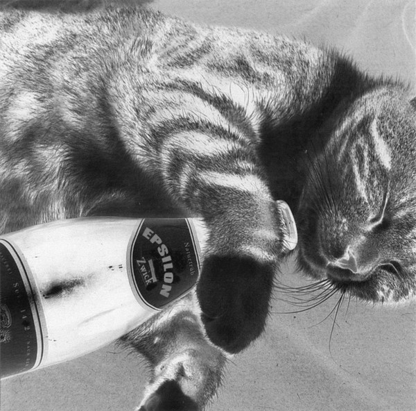 Epsilon - Simple Life - Cover